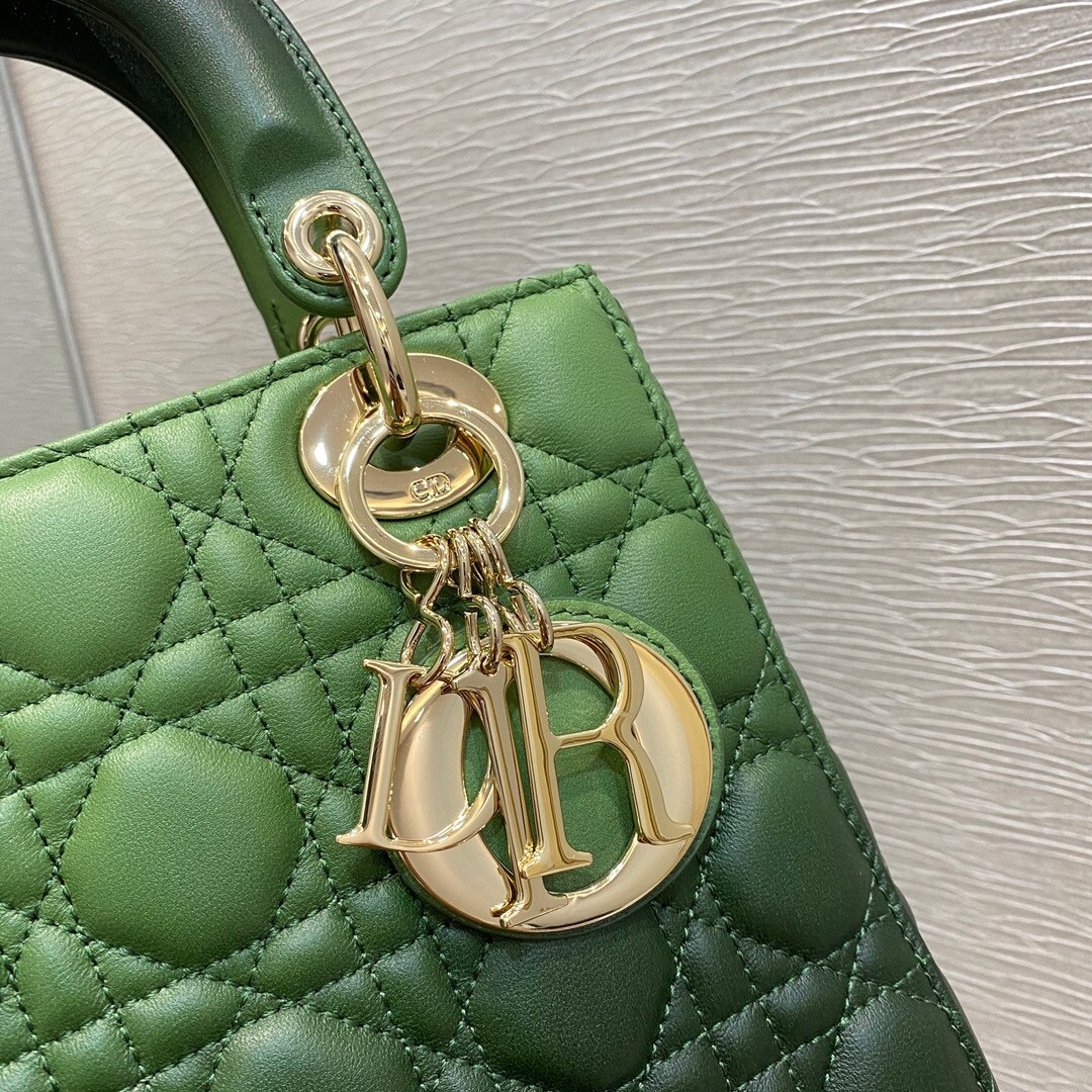 small lady D*or bag 8 x 6.5 x 3 inches