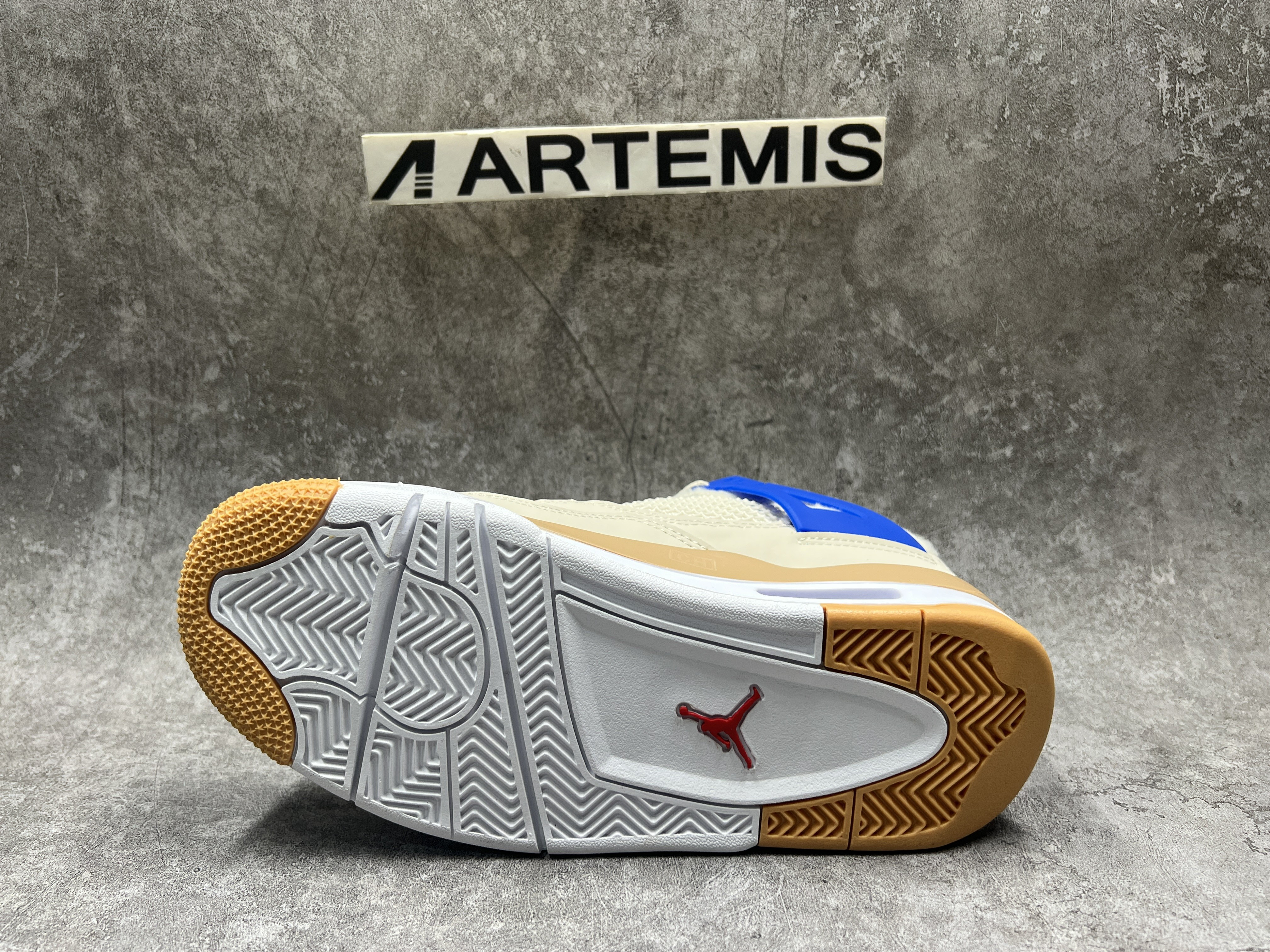 Air Jordan 4 Retro Where the Wild Things Are